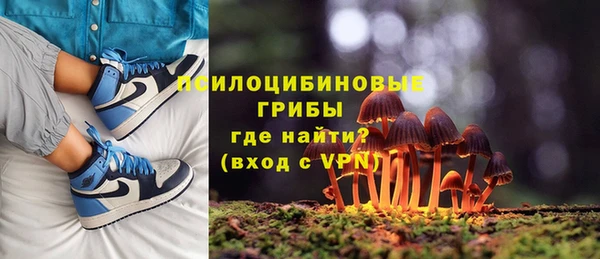 метамфетамин Анива