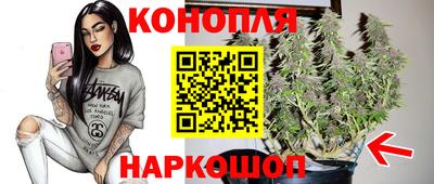 дурь Гусев