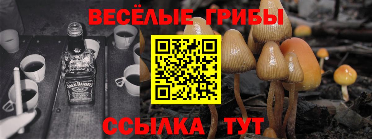 Галлюциногенные грибы мухоморы Кандалакша